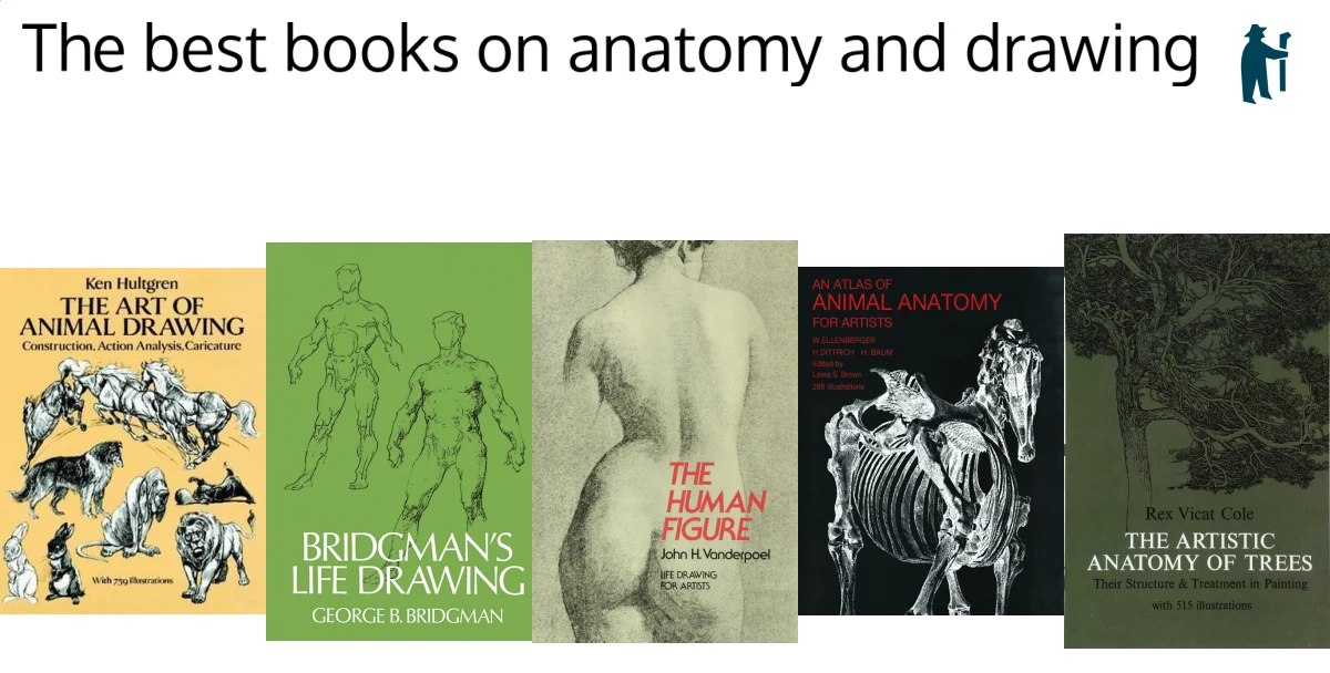 The best books on anatomy and drawing